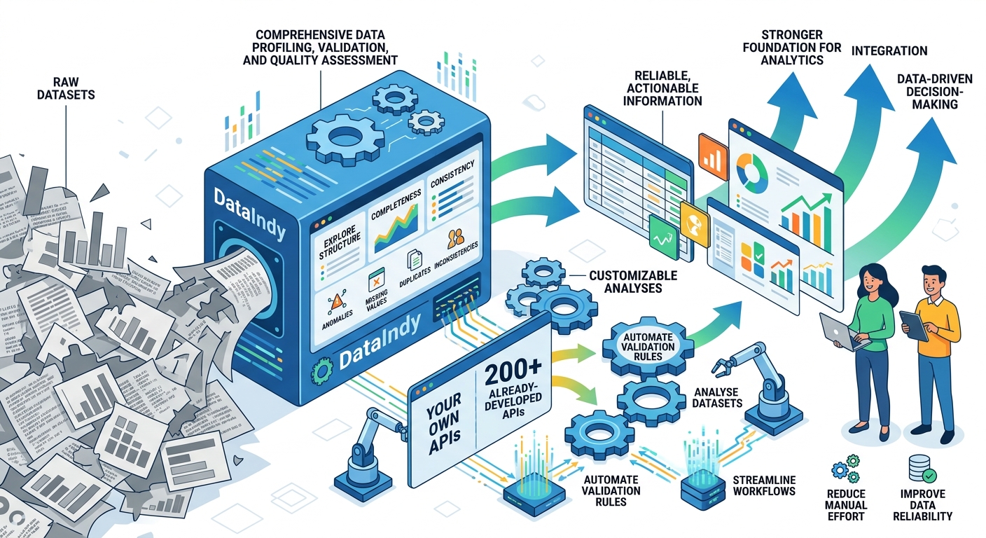 DataIndy data profiling and validation dashboard